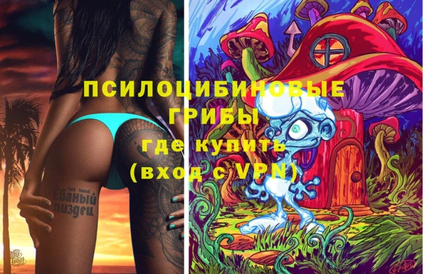 ПСИЛОЦИБИНОВЫЕ ГРИБЫ Кулебаки
